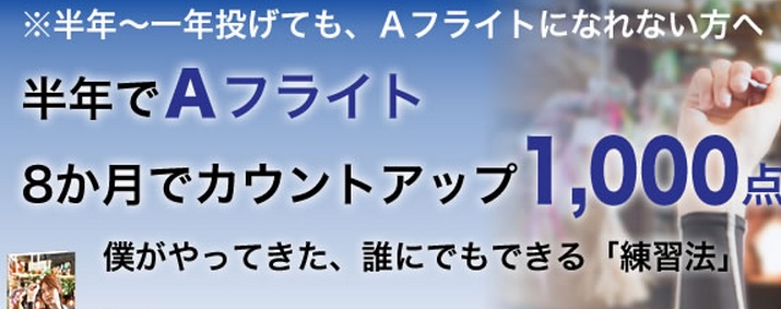 バレルやダーツケースを通販で激安購入できるダーツショップ比較ナビ